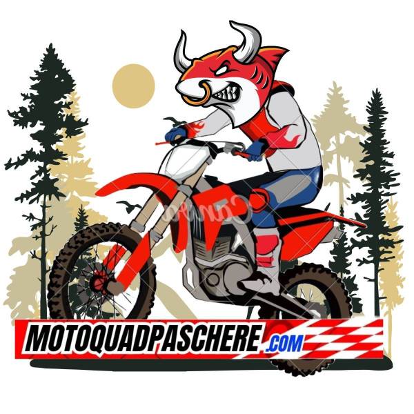 Concessionnaire de quads Conflans-Sainte-Honorine MQPC